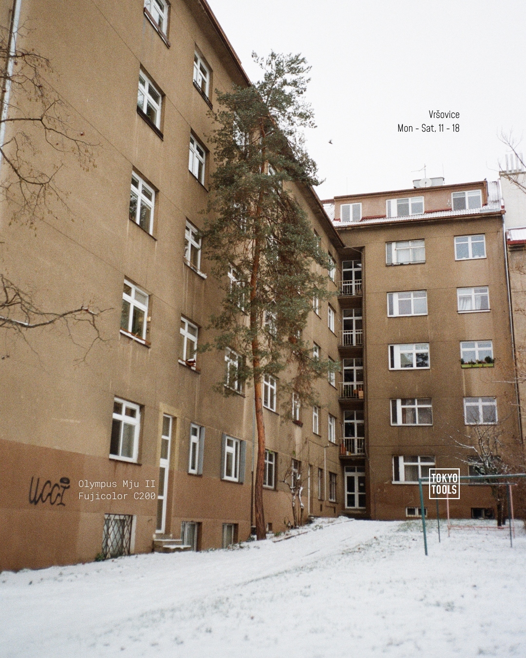 VRSOVICE-ANALOG_JANUARY_4x5-1